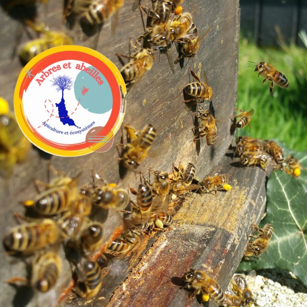 Arbres Et Abeilles